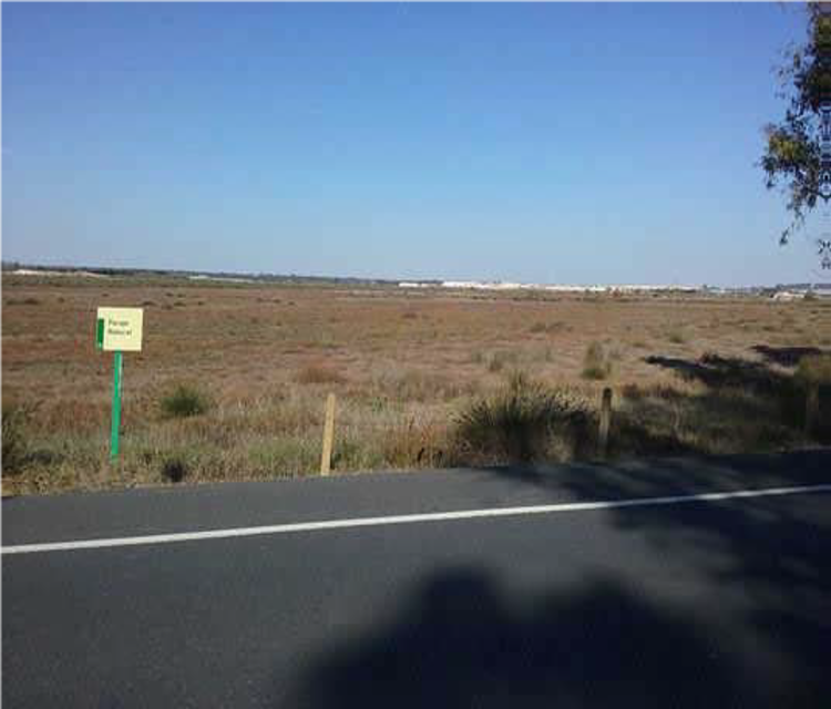 vista desde carretera.png